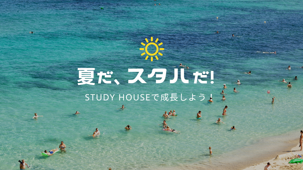 STUDY HOUSEの夏🌻