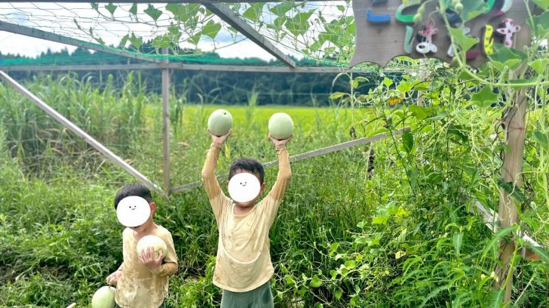 【スタディハウス 秋田 塾】記事更新✍️「机での学びより〇〇」