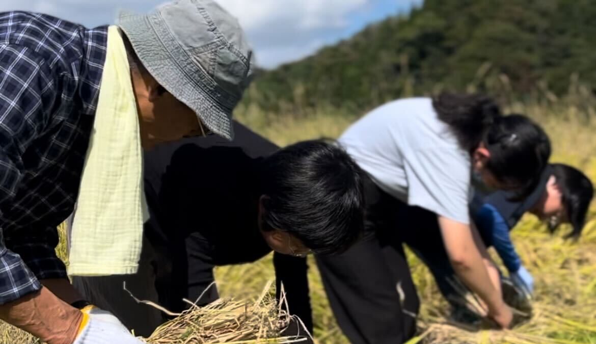 【スタディハウス 秋田 塾】記事更新✍️「体験活動から得られる力💪」