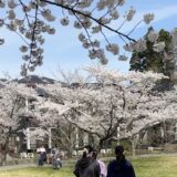 【スタディハウス 秋田 塾】記事更新✍️「焦る気持ちを手放すと見えてくるものがあります🌸」