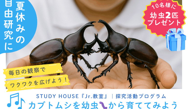 【小学生限定！夏休みはSTUDY HOUSEへ！】🌻 宿題・科学・取材…そして「カブトムシ」！？この夏、最高の体験と自由研究を！