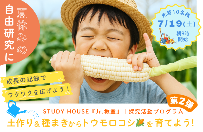 【小学生限定！夏休み特別企画第2弾！】🌽 カブトムシの次は「トウモロコシ」！？土作りから収穫まで、キミだけの「食の自由研究」を始めよう！