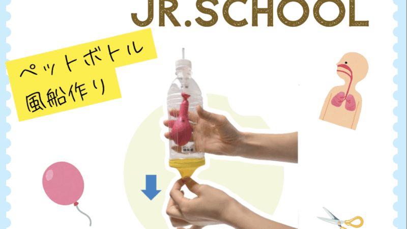【スタディハウス 秋田 塾】記事更新✍️「10月の小学生向け科学教室　ペットボトル風船で「体のしくみ」を体験！」
