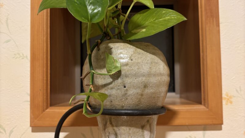 【スタディハウス 秋田 塾】記事更新✍️「学びが進む子が持っている、本当の原動力」