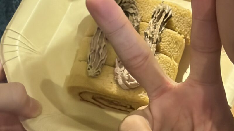 【スタディハウス 秋田 塾】記事更新✍️「2025年最後の日。今日もみんなで高め合います！」