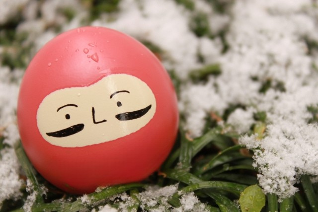 【スタディハウス 秋田 塾】記事更新✍️「結果の向こうにある成長」