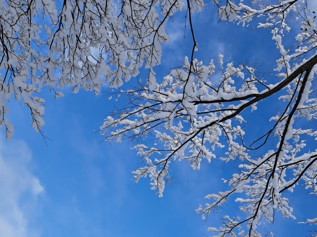 【スタディハウス 秋田 塾】記事更新✍️「同じ空間で、静かに育つ」