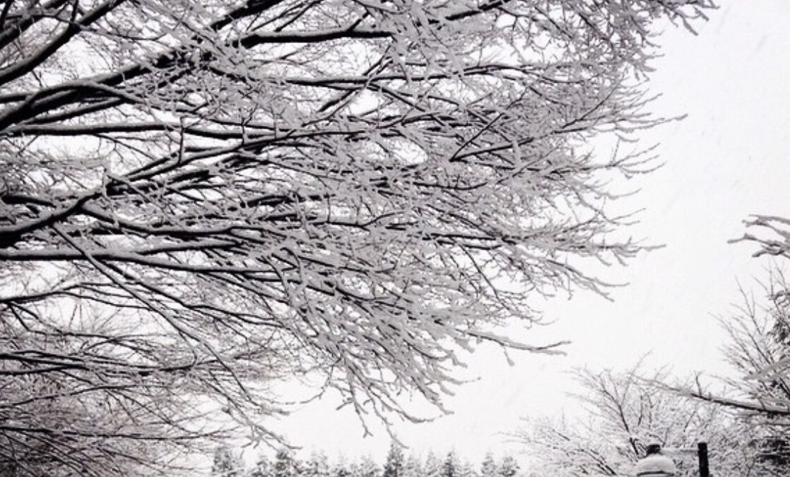 【スタディハウス 秋田 塾】記事更新✍️「試験の意味を考える日」