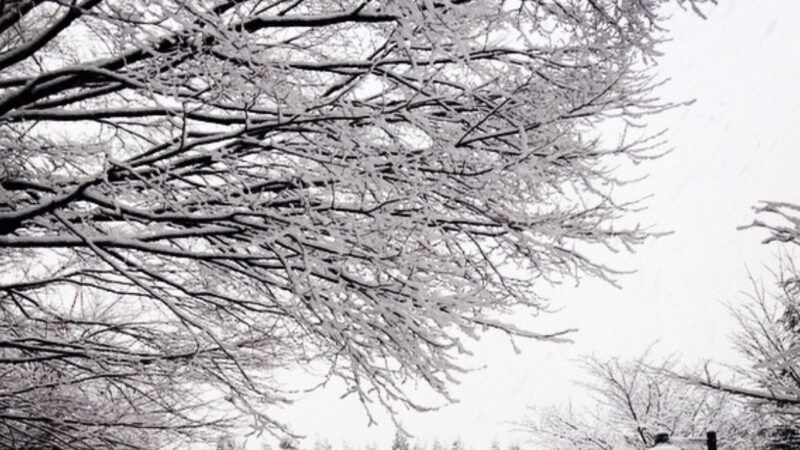 【スタディハウス 秋田 塾】記事更新✍️「試験の意味を考える日」