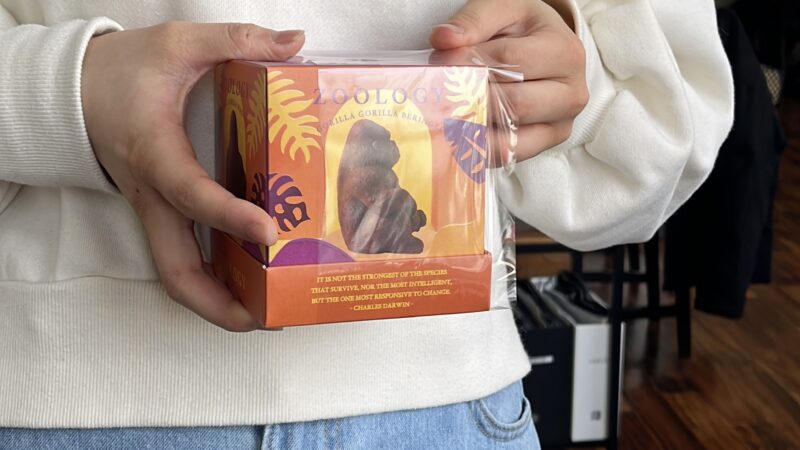 【スタディハウス 秋田 塾】記事更新✍️「今年もE判定から逆転合格が続出。STUDY HOUSEの「合格設計」」