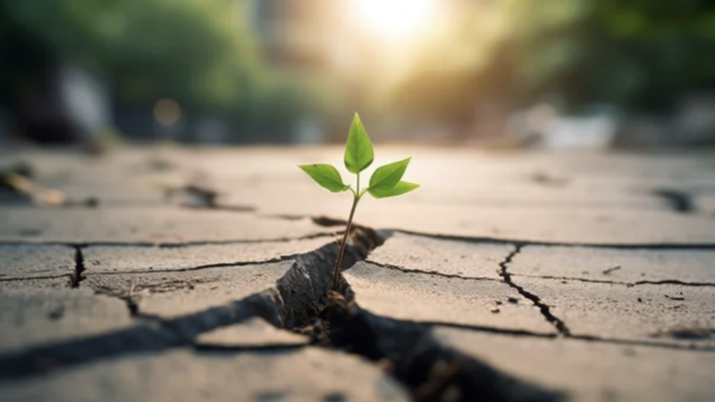 【スタディハウス 秋田 塾】記事更新✍️「高校入試で跳ね返された君へ  ― 大丈夫。人生はここから何度でも立て直せる ―」