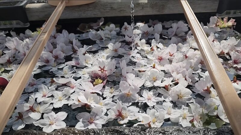 【スタディハウス 秋田 塾】記事更新✍️「最初の定期テストで、人生最高点を取るために」