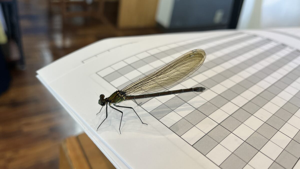 【スタディハウス 秋田 塾】記事更新✍️「最近、◯◯と言われます。」