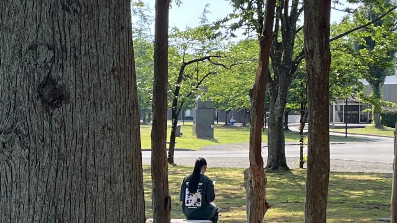 【スタディハウス 秋田 塾】記事更新✍️「努力ってどういう意味からきていますが。」