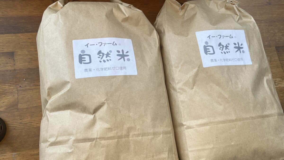 【スタディハウス 秋田 塾】記事更新✍️ー科学的根拠編ー「他人の点数は気になるのに、指摘されると反発する」