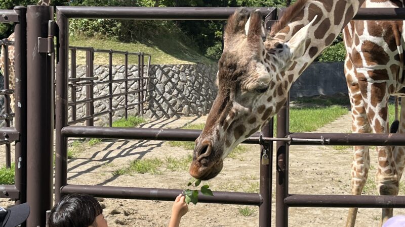 【スタディハウス 秋田 塾】記事更新✍️「2学期の準備は、前日の夜では遅い」